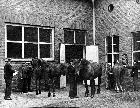 Photo n 190980