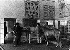 Photo n 190981