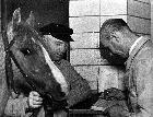 Photo n 190982
