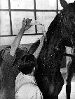Photo n 190985