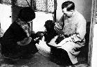 Photo n 191864