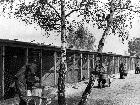 Photo n 191871