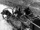Photo n 191873
