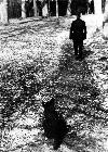 Photo n 191880