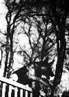 Photo n 191884