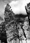 Photo n� 194120