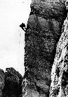 Photo n� 194121