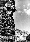 Photo n� 194124