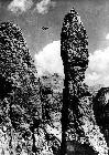 Photo n� 194125