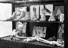Photo n� 194146
