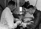 Photo n� 194151