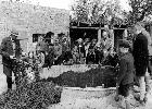 Photo n� 194309