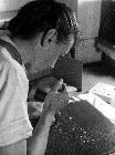 Photo n� 194381