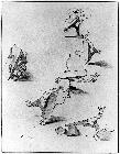 Photo n� 194386