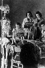Photo n� 194388
