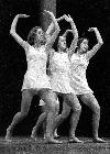 Photo n� 194455