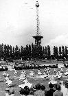 Photo n� 194459