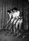 Photo n� 194466