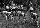 Photo n� 194942