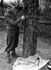 Photo n� 195044