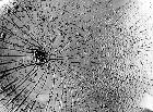 Photo n 203941