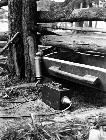 Photo n 204700