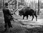 Photo n 204702