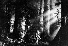 Photo n 204927