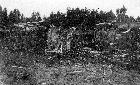Beeld nr. 209845