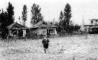 Beeld nr. 209846