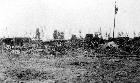 Beeld nr. 209847