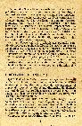 Photo n 299872