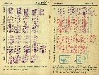 Photo n 523053