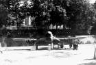 Beeld nr. 93351