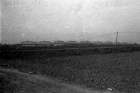 Beeld nr. 96079