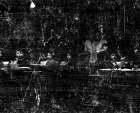 Beeld nr. 96537