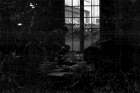 Beeld nr. 96540